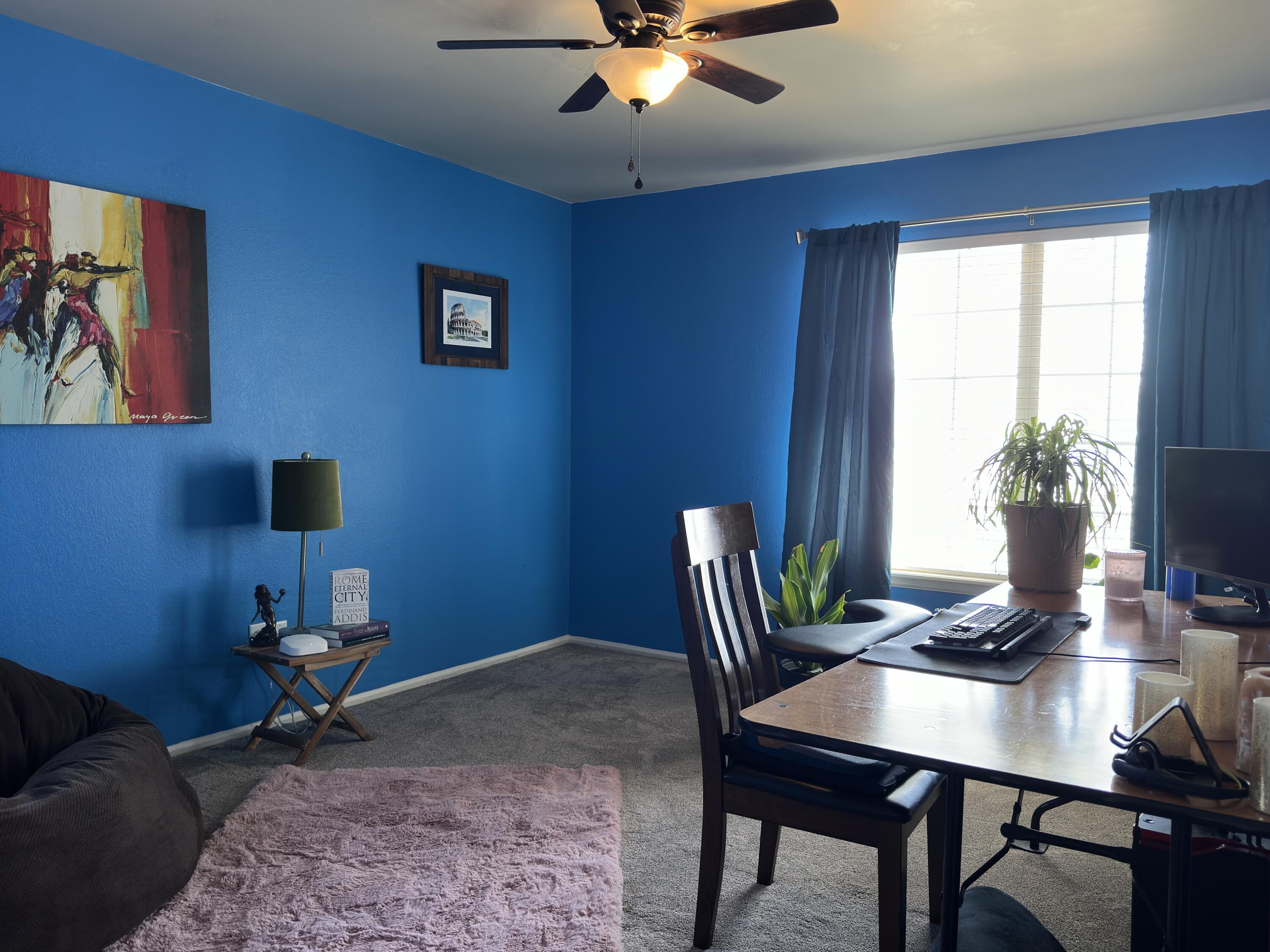 4902 103rd Street Lubbock, TX 79424 - Photo 14 of 23 a workspace with furniture and window