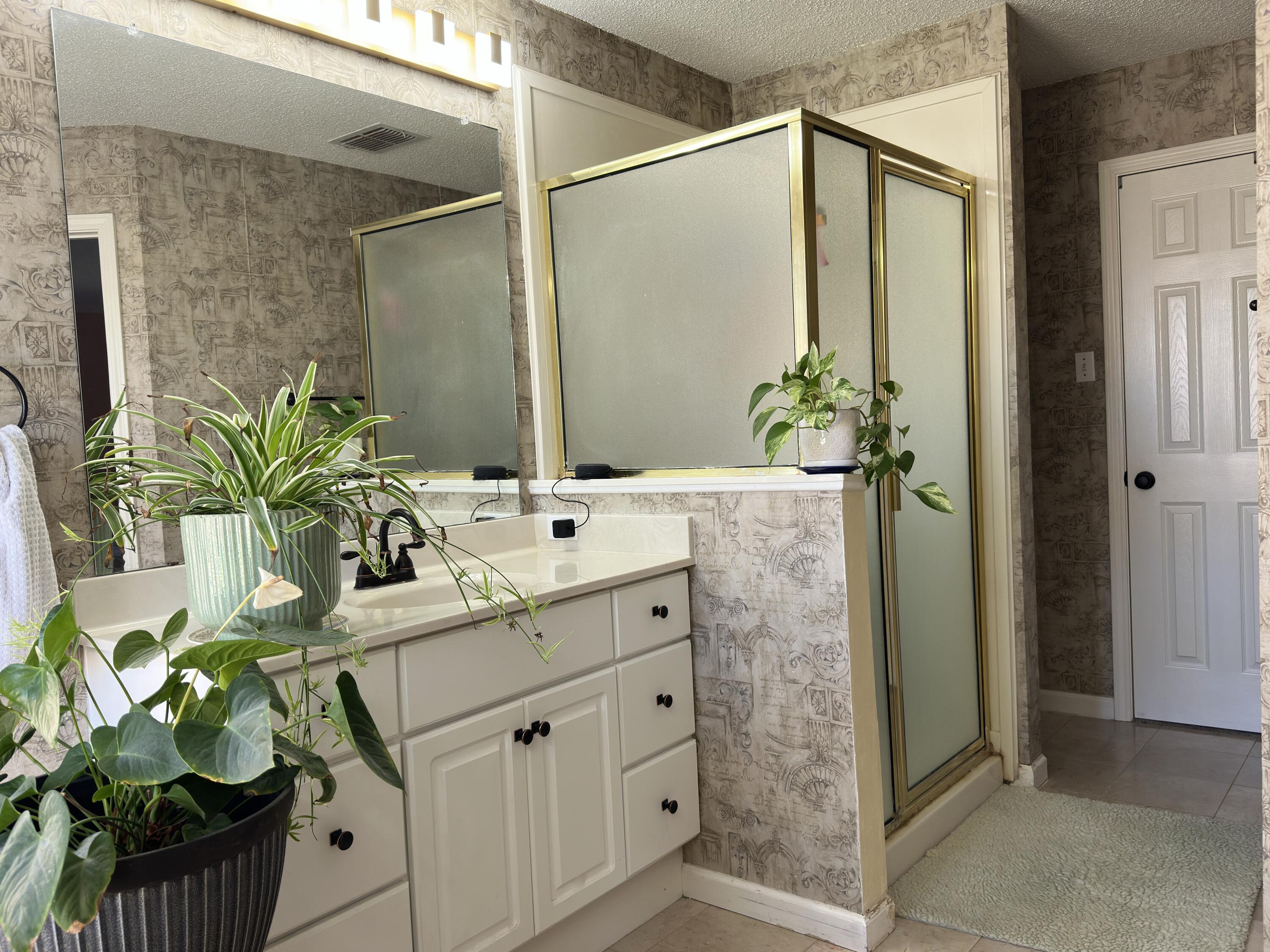 4902 103rd Street Lubbock, TX 79424 - Photo 21 of 23 a bathroom with a sink a mirror and a potted plant
