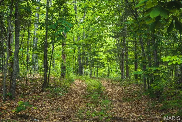 $525,000 | 0 County Road 6280, Jadwin, MO 65501