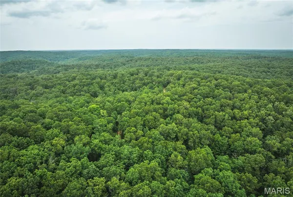 $525,000 | 0 County Road 6280, Jadwin, MO 65501
