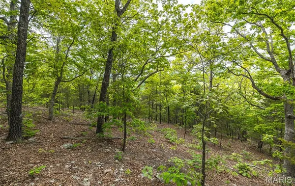 $525,000 | 0 County Road 6280, Jadwin, MO 65501