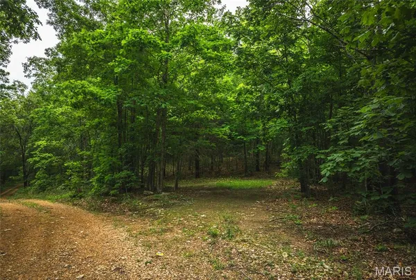 $525,000 | 0 County Road 6280, Jadwin, MO 65501