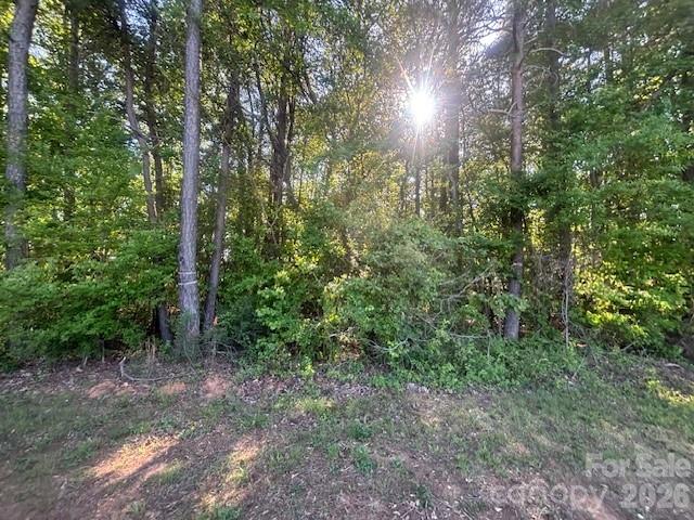 18001 Davidson-Concord Road Davidson, NC 28036 - Photo 2 of 5