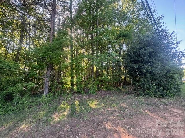 18001 Davidson-Concord Road Davidson, NC 28036 - Photo 3 of 5