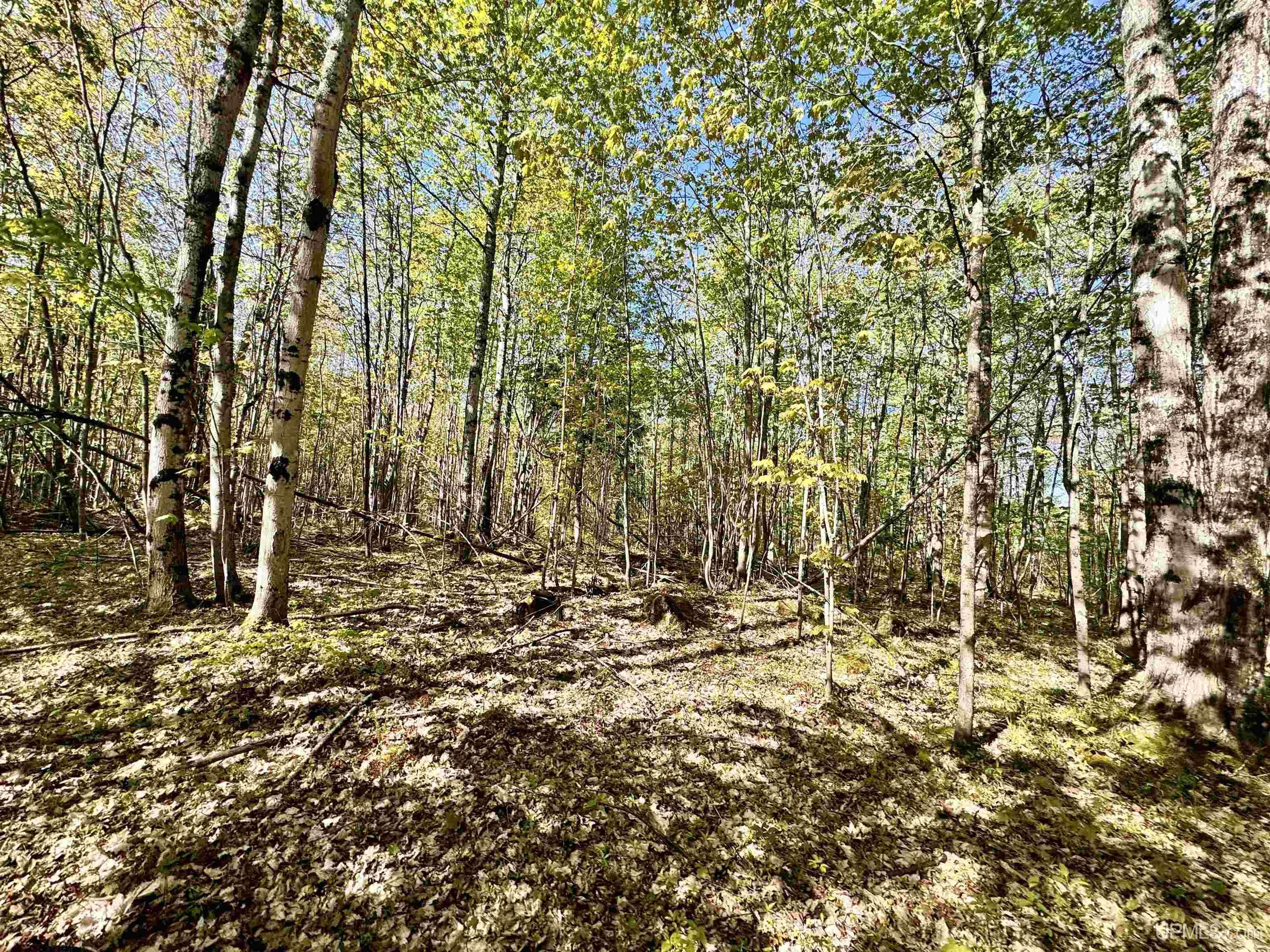 Tbd Tbd Segan Road Deerton, MI 49822 - Photo 20 of 21