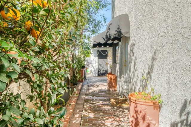a view of a pathway of a house with potted plants