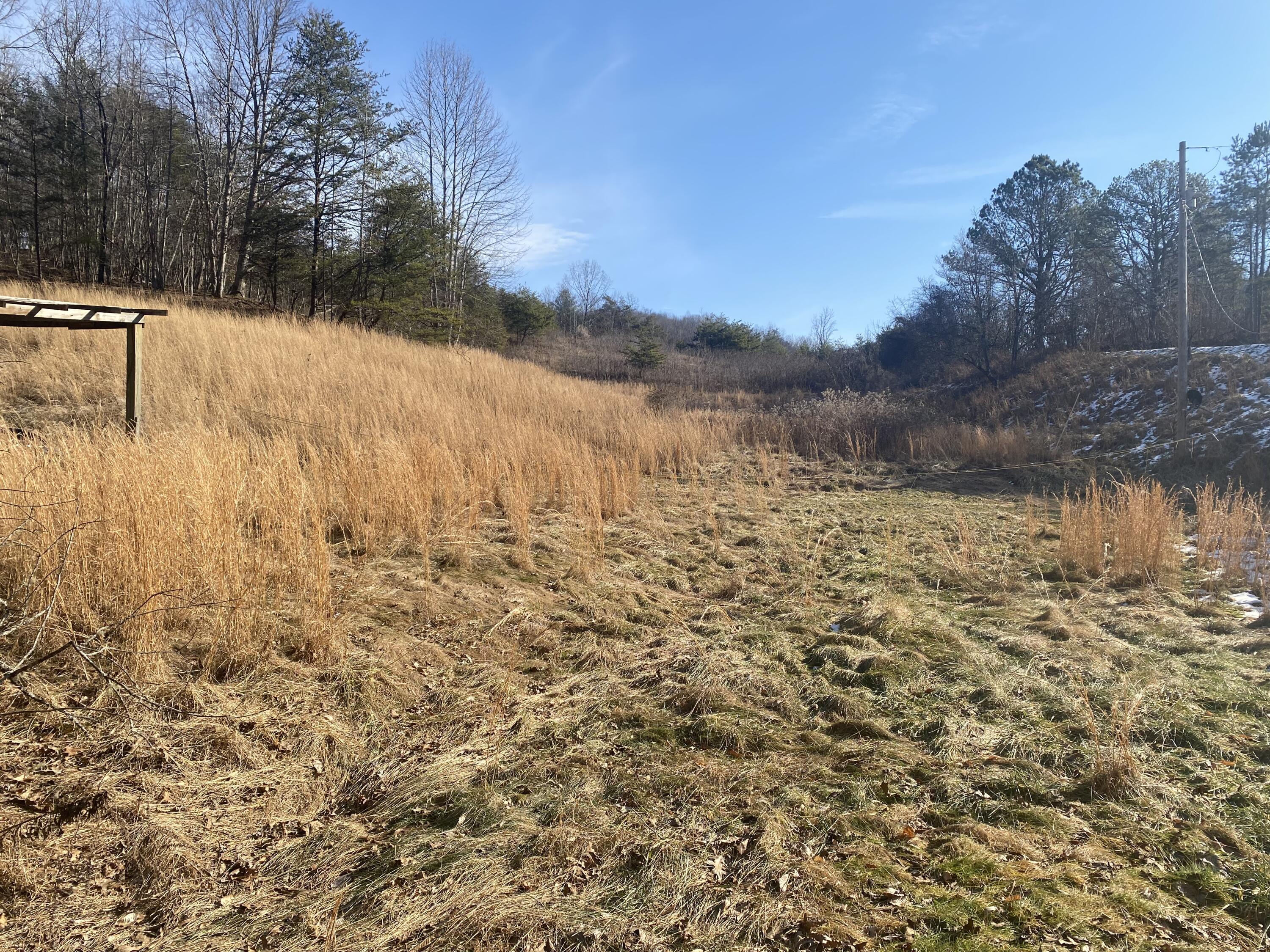 371 Jarvis Branch Road Barbourville, KY 40906 - Photo 43 of 51 20250201213310297884000000-o