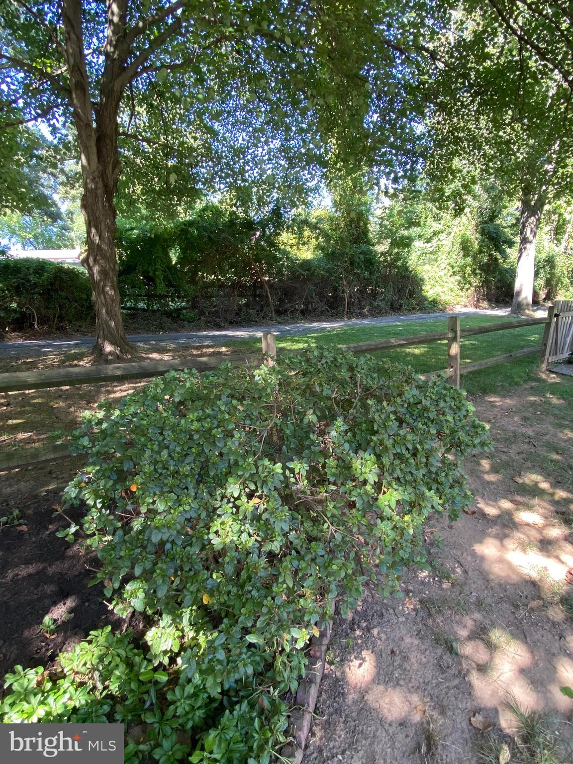 6108 Mantle Road Burke, VA 22015 - Photo 87 of 97 Home Backs onto HOA Land and HOA Trails!