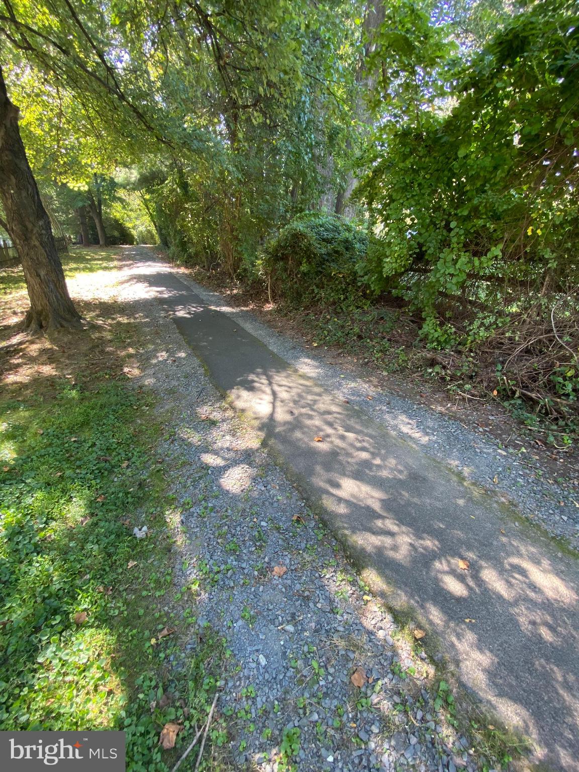 6108 Mantle Road Burke, VA 22015 - Photo 93 of 97 View of the Trail to the Left