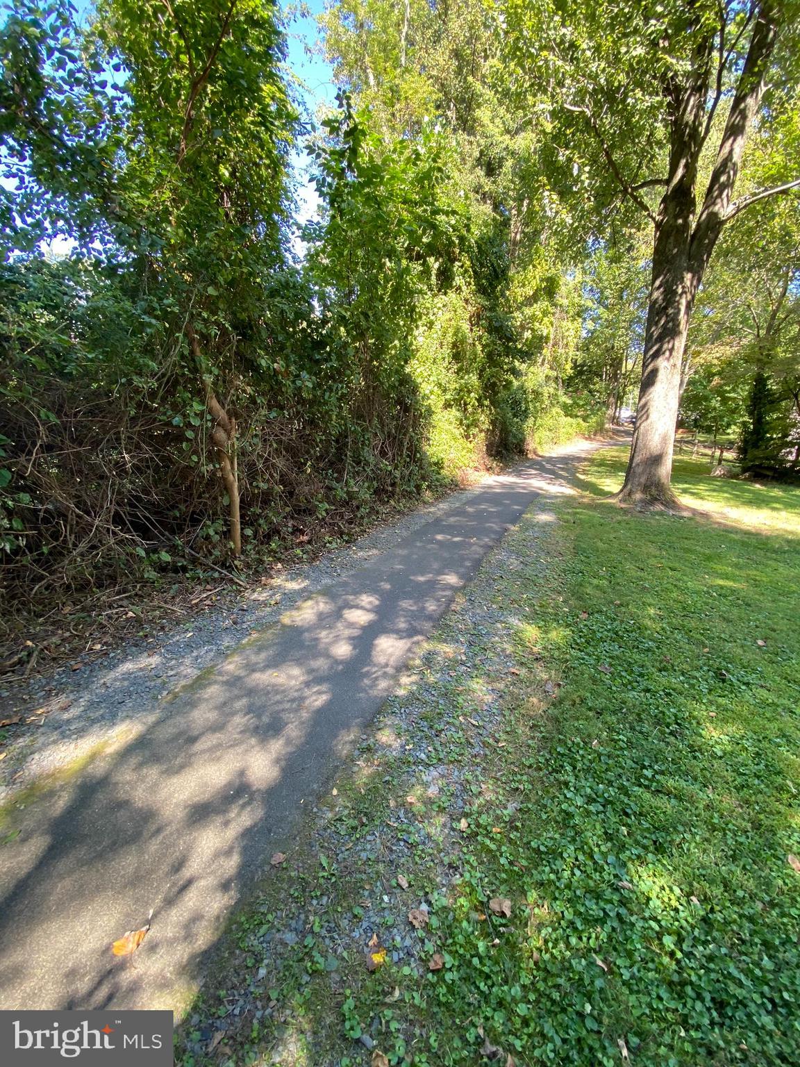 6108 Mantle Road Burke, VA 22015 - Photo 94 of 97 View of the Trail to the Right- Walk to Shopping