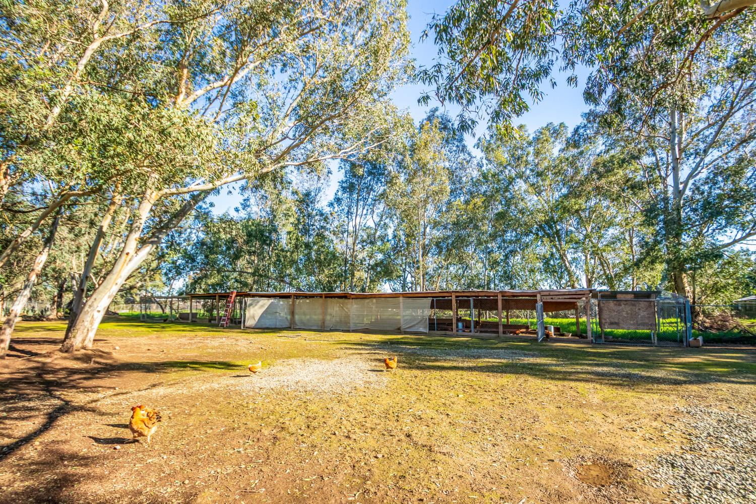 2423 I Street Rio Linda, CA 95673 - Photo 32 of 48 a view of swimming pool with trees in the background