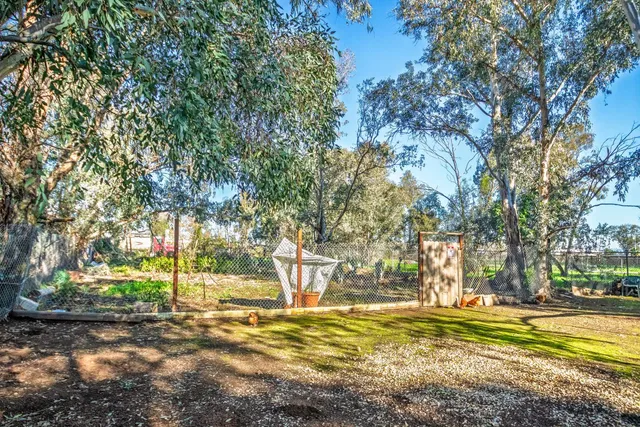 a view of swimming pool with trees