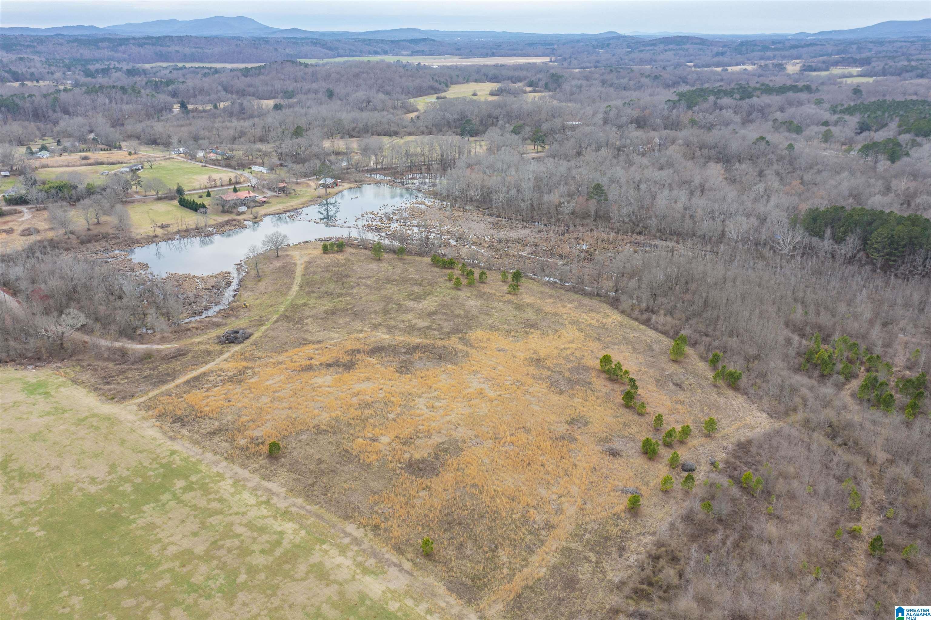 1619 Old Downing Ml Road, Unit 40 03 ACRES Anniston, AL 36207 - Photo 20 of 29