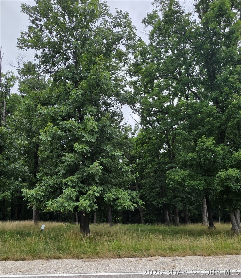 Lot 121 Terry Rd Lake Lake Ozark, MO 65049 - Photo 3 of 16
