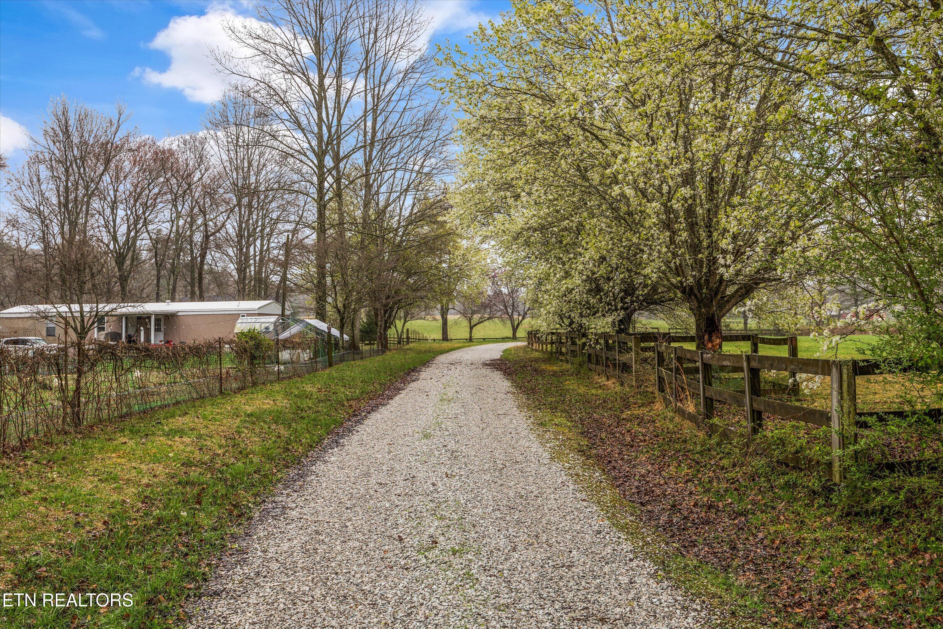 1334 Niggs Creek Road Oneida, TN 37841 - Photo 43 of 59 45-1334 Niggs Creek Rd55