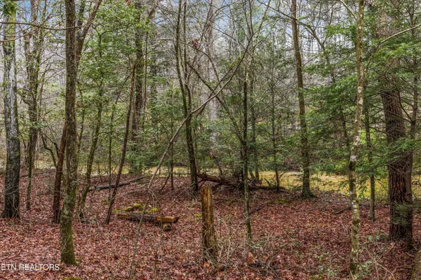 $439,900 | 1334 Niggs Creek Road, Oneida, TN 37841