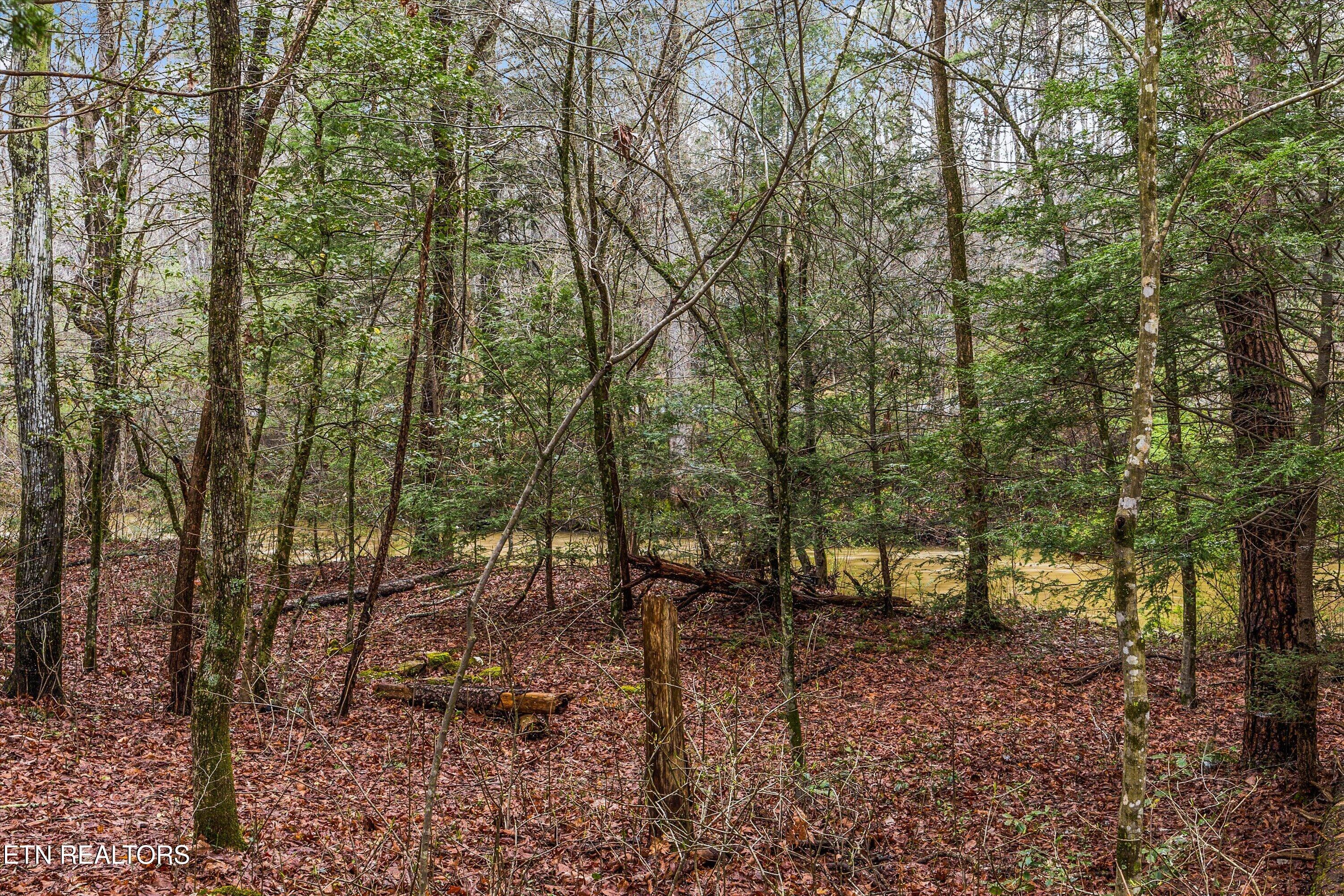 1334 Niggs Creek Road Oneida, TN 37841 - Photo 47 of 59 49-1334 Niggs Creek Rd39