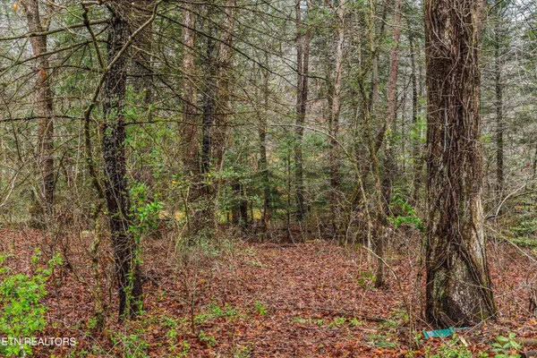 $439,900 | 1334 Niggs Creek Road, Oneida, TN 37841