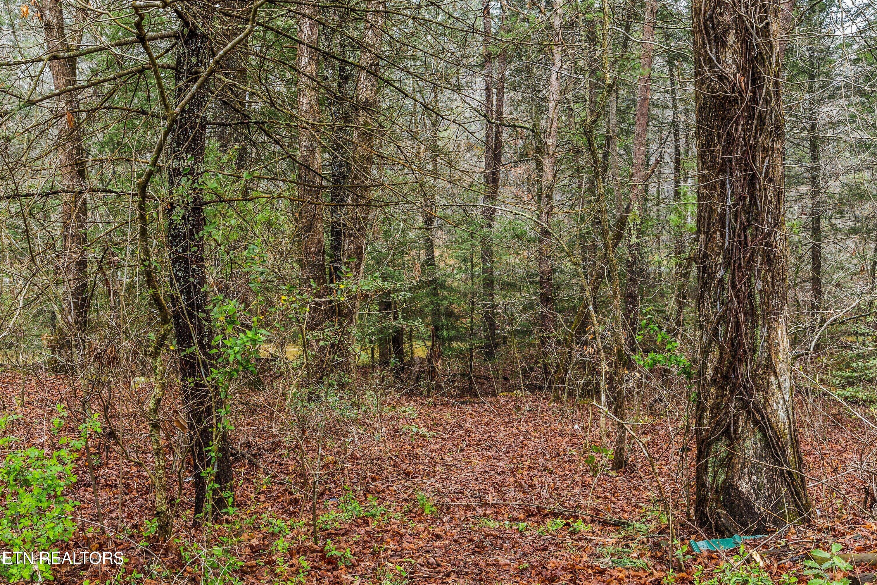 1334 Niggs Creek Road Oneida, TN 37841 - Photo 48 of 59 50-1334 Niggs Creek Rd44