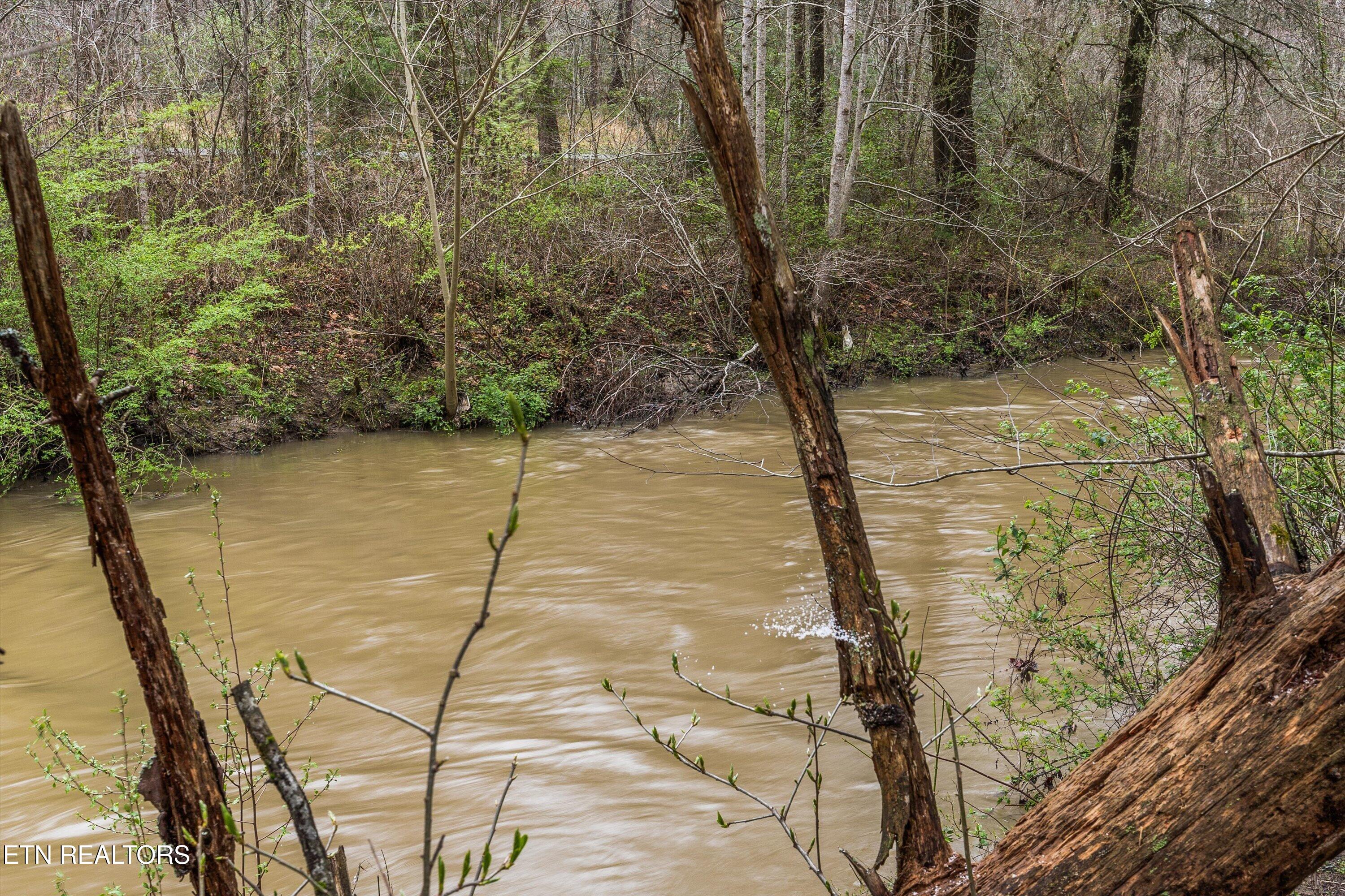 1334 Niggs Creek Road Oneida, TN 37841 - Photo 49 of 59 51-1334 Niggs Creek Rd46