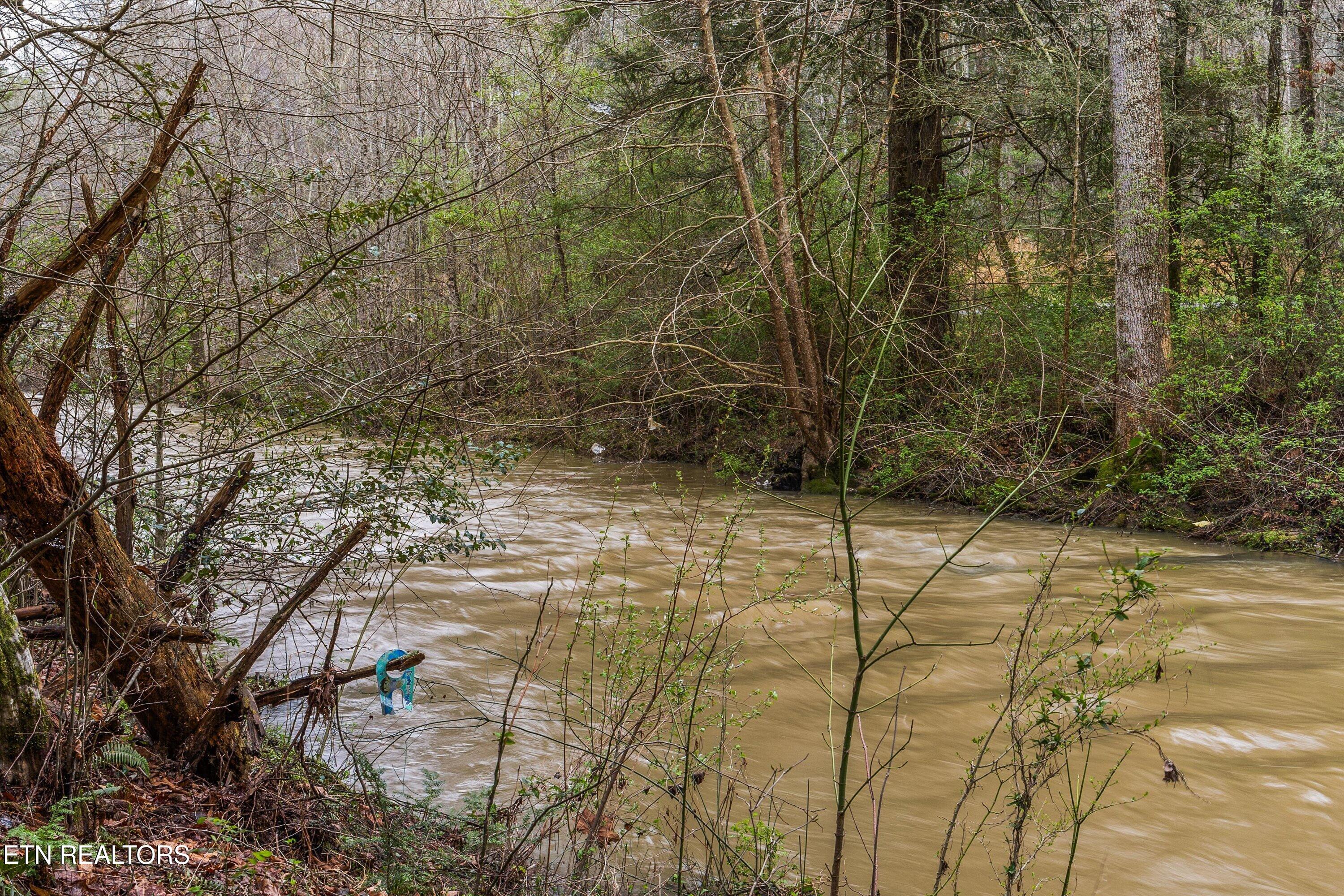 1334 Niggs Creek Road Oneida, TN 37841 - Photo 50 of 59 52-1334 Niggs Creek Rd45