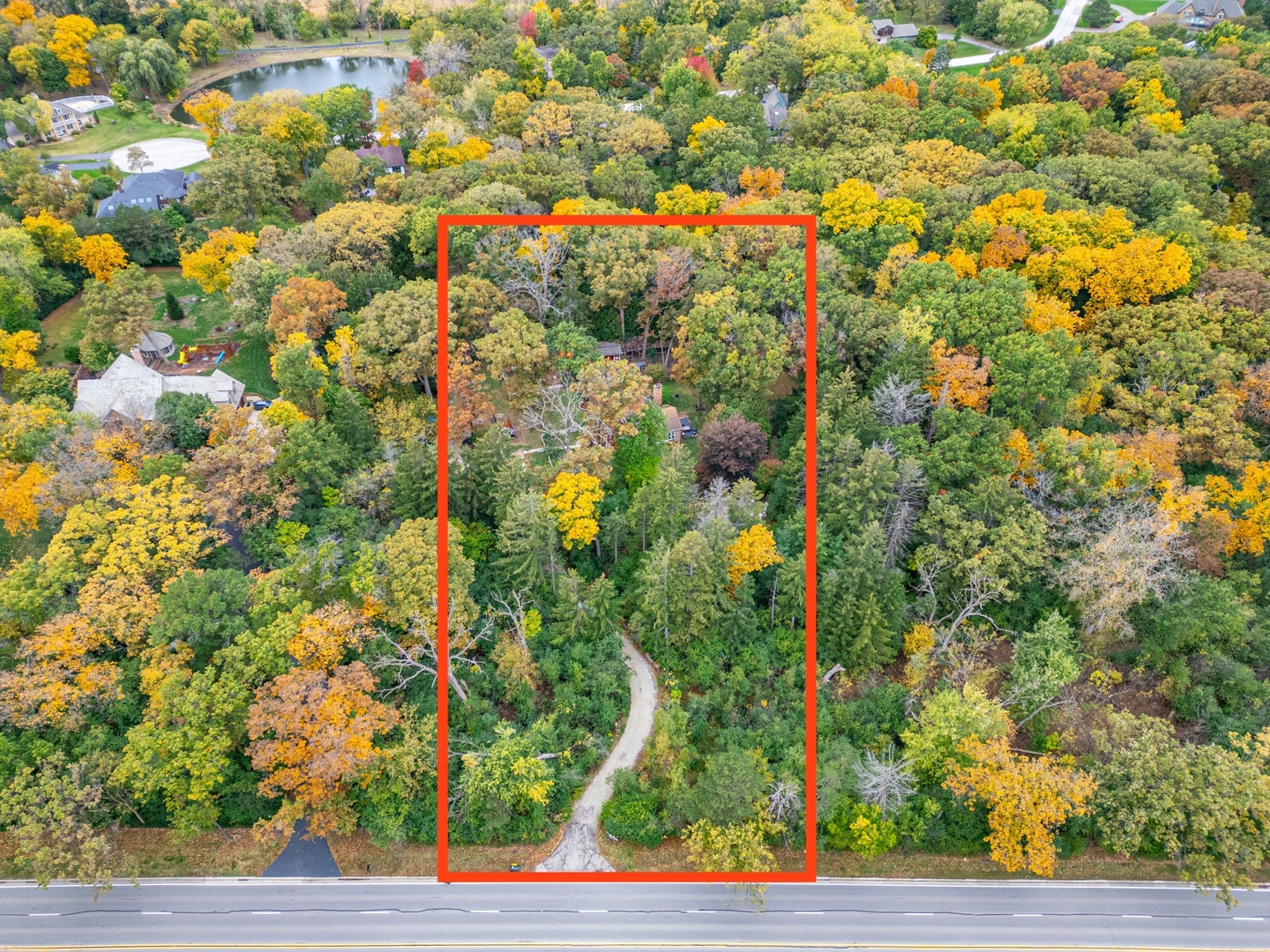 a view of a yard with plants