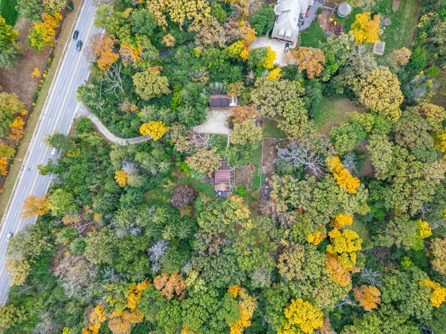 a view of a tree with a yard