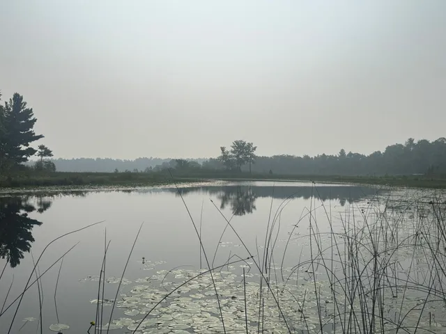 $919,000 | 8038 Lost Lake Road, Unit 220, Nisswa, MN 56468