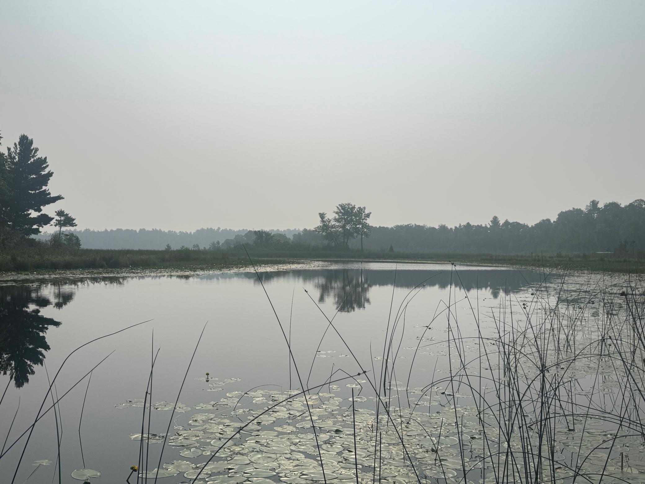 8038 Lost Lake Road, Unit 220 Nisswa, MN 56468 - Photo 5 of 22