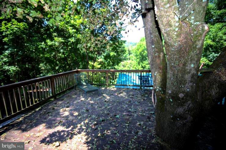 1545 Red Bank Road Dover, PA 17315 - Photo 5 of 57 Gorgeous Wooded View From the deck