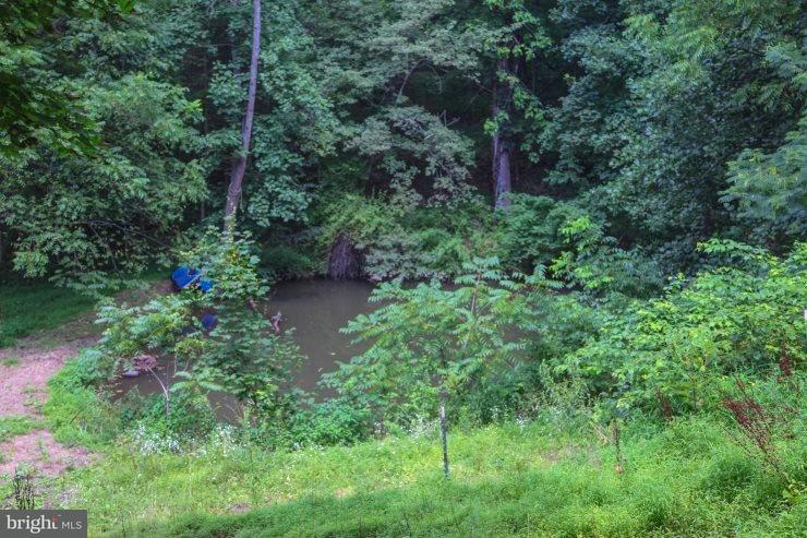 1545 Red Bank Road Dover, PA 17315 - Photo 7 of 57 Fishing Pond