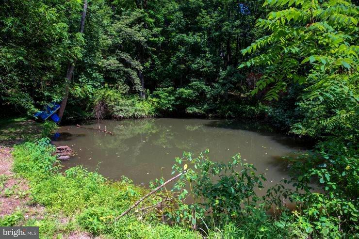 1545 Red Bank Road Dover, PA 17315 - Photo 8 of 57 Full of fish and turtles, paddle boat stays