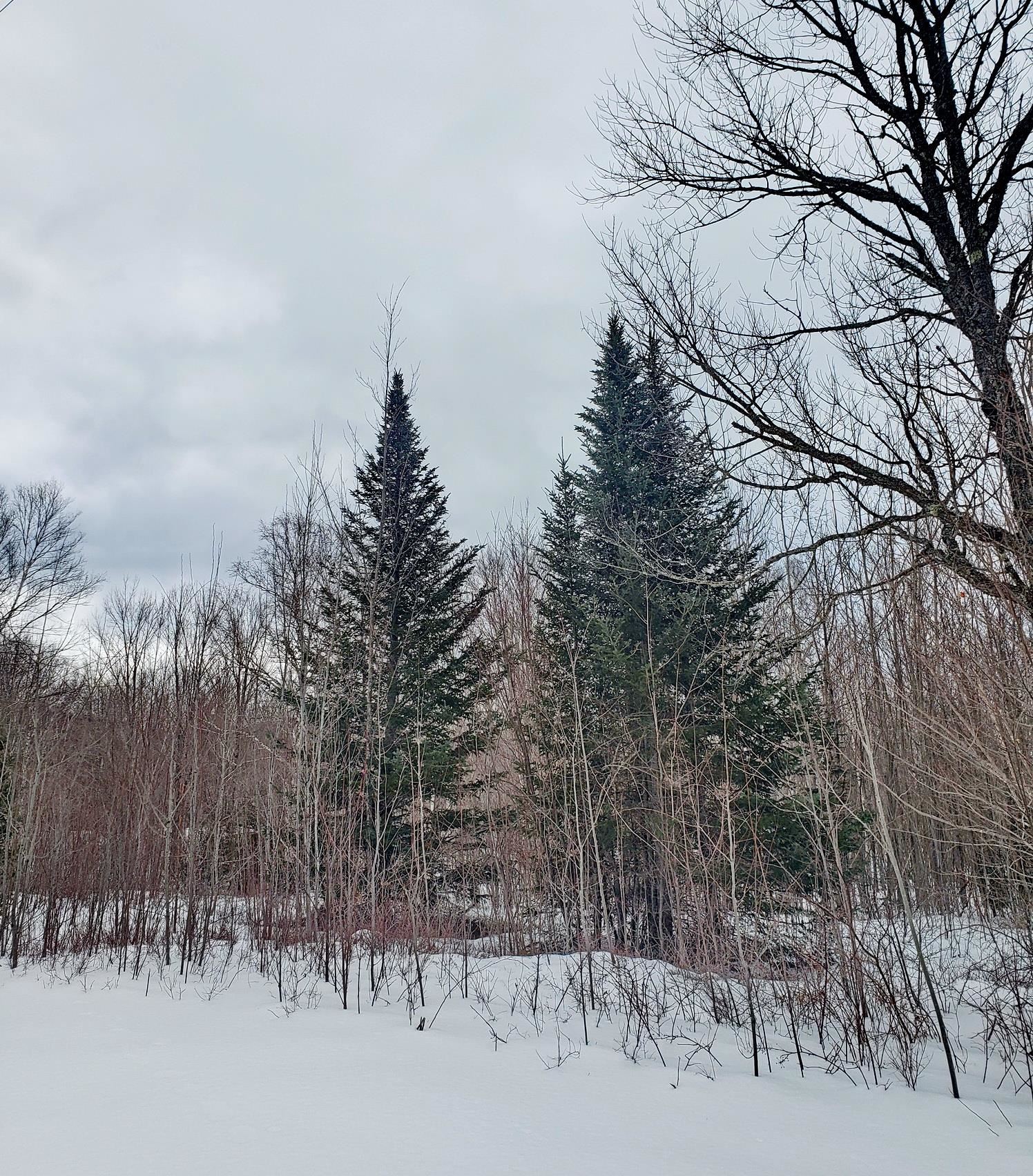 Tbd Sunset Paradise Road Jefferson, NH 03583 - Photo 7 of 9