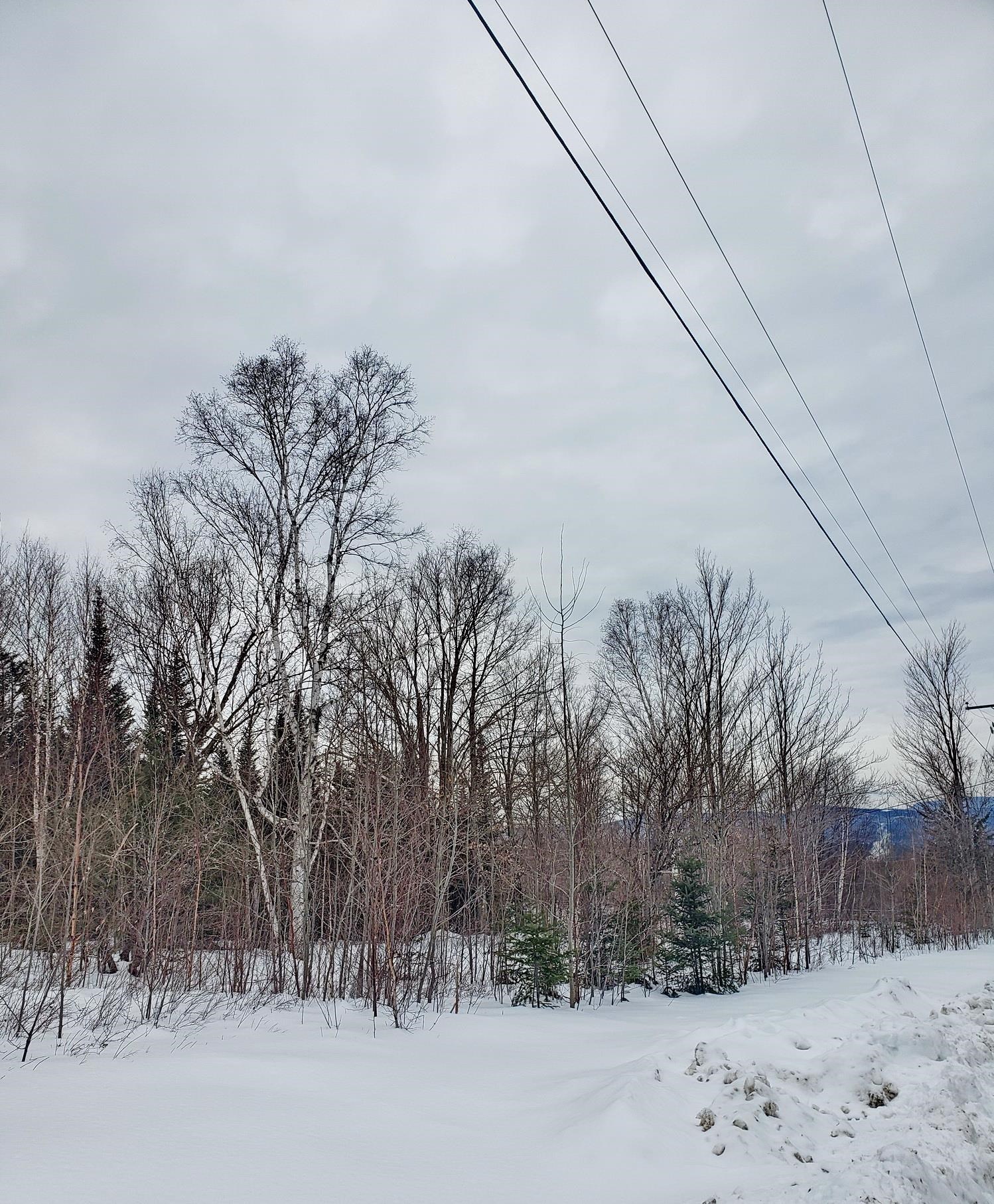 Tbd Sunset Paradise Road Jefferson, NH 03583 - Photo 8 of 9