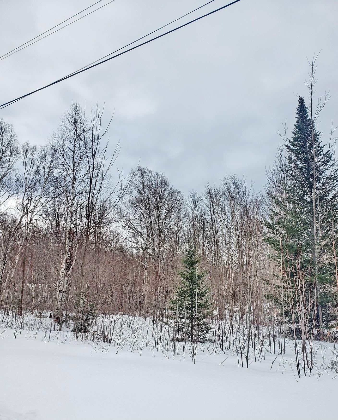Tbd Sunset Paradise Road Jefferson, NH 03583 - Photo 9 of 9