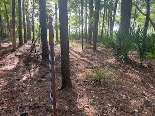 1059 Refuge Point Northeast Townsend, GA 31331 - Photo 18 of 31