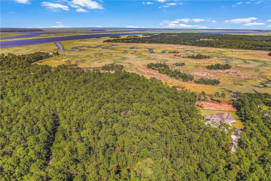 1059 Refuge Point Northeast Townsend, GA 31331 - Photo 4 of 31