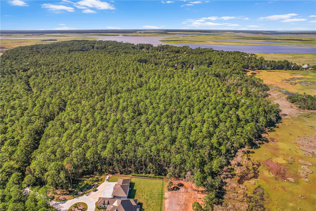 1059 Refuge Point Northeast Townsend, GA 31331 - Photo 5 of 31