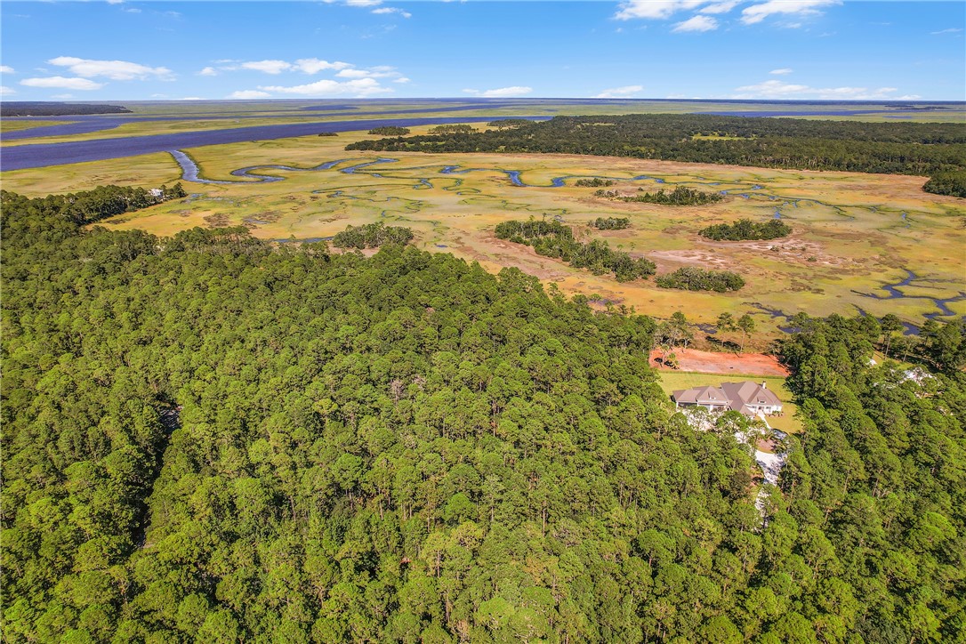 1059 Refuge Point Northeast Townsend, GA 31331 - Photo 8 of 31