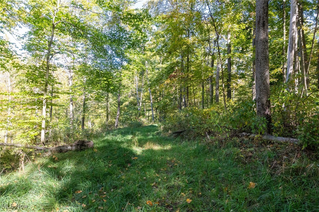 3245 Dixon Ridge Road Lowell, OH 45744 - Photo 26 of 46