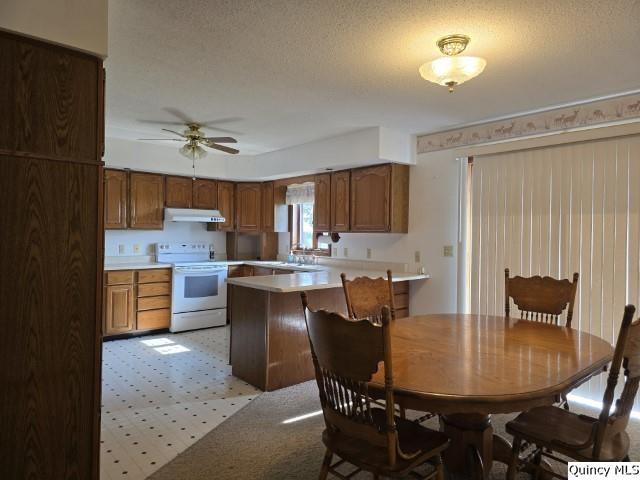 400 4th Street Carthage, IL 62321 - Photo 4 of 27