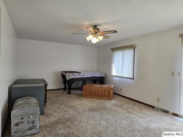 400 4th Street Carthage, IL 62321 - Photo 8 of 27