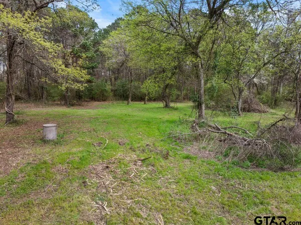 a view of park with tree