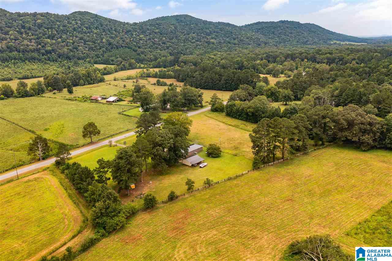 6005 Greensport Road Ashville, AL 35953 - Photo 34 of 36