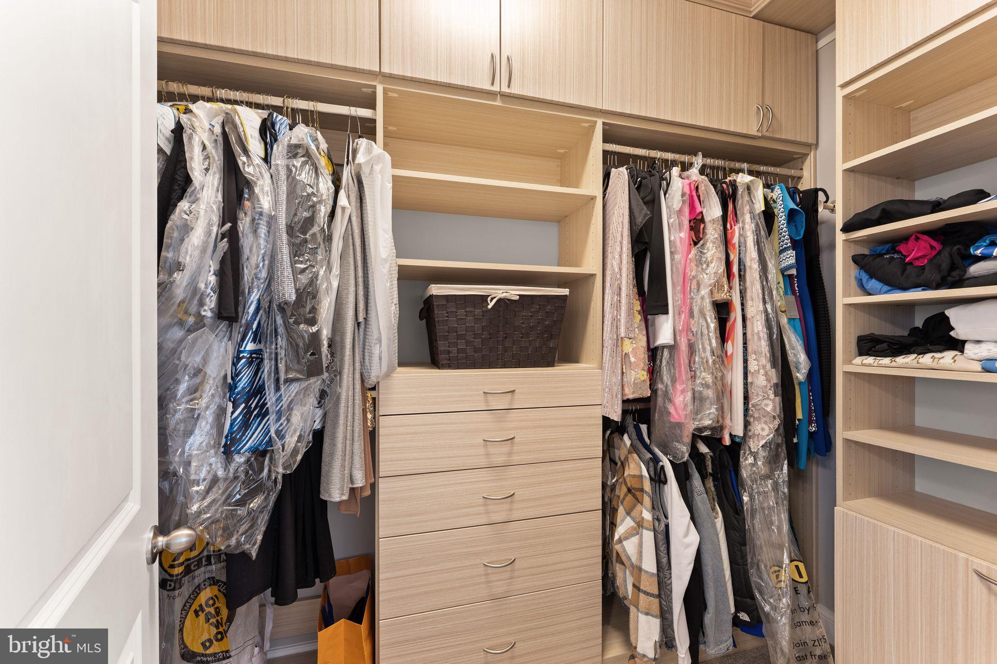 41865 Paddock Gate Place Ashburn, VA 20148 - Photo 44 of 99 a view of walk in closet with clothes and shoes