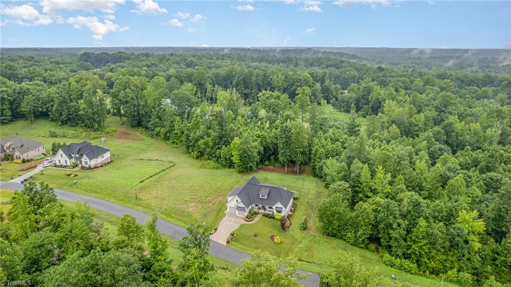 2519 Rivers Edge Road Summerfield, NC 27358 - Photo 3 of 42