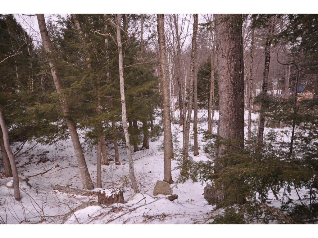 Lot 90 Carriage Road Bristol, NH 03222 - Photo 2 of 7 Gallery Image 2