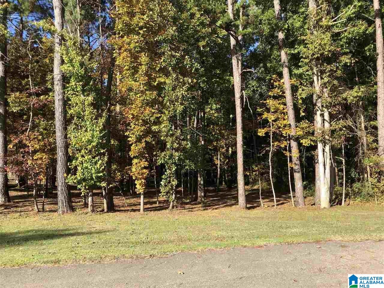 20818 Sandy Drive, Unit 61 McCalla, AL 35111 - Photo 2 of 5