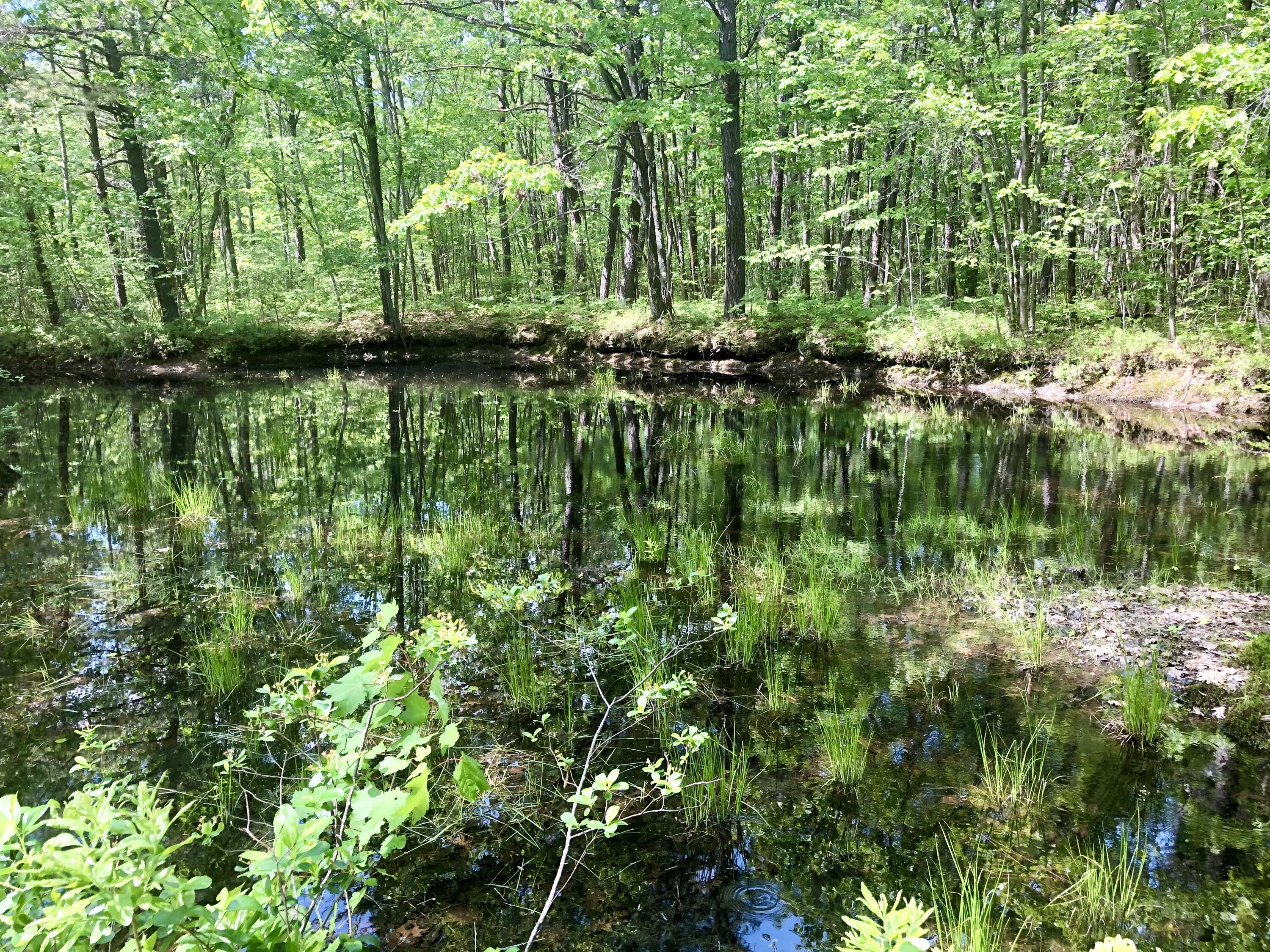 3 Rankin Creek Road Kennebunk, ME 04043 - Photo 55 of 57 Pond