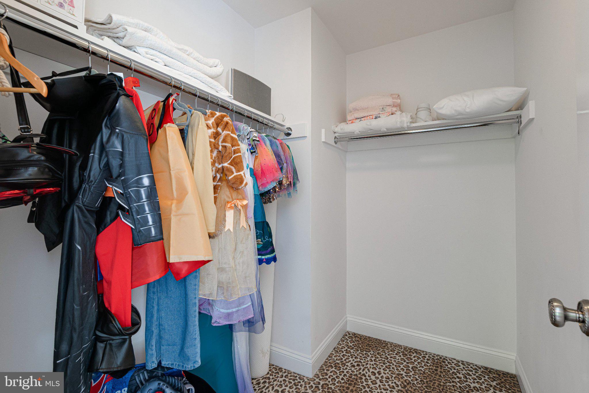 952 Lafayette Road Bryn Mawr, PA 19010 - Photo 63 of 87 Colorful costumes in a cozy closet.